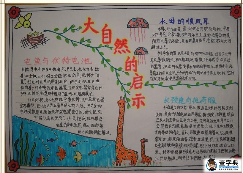 大自然的启示手抄报高清图片大全三1