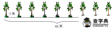 小升初奥数题型：植树问题2