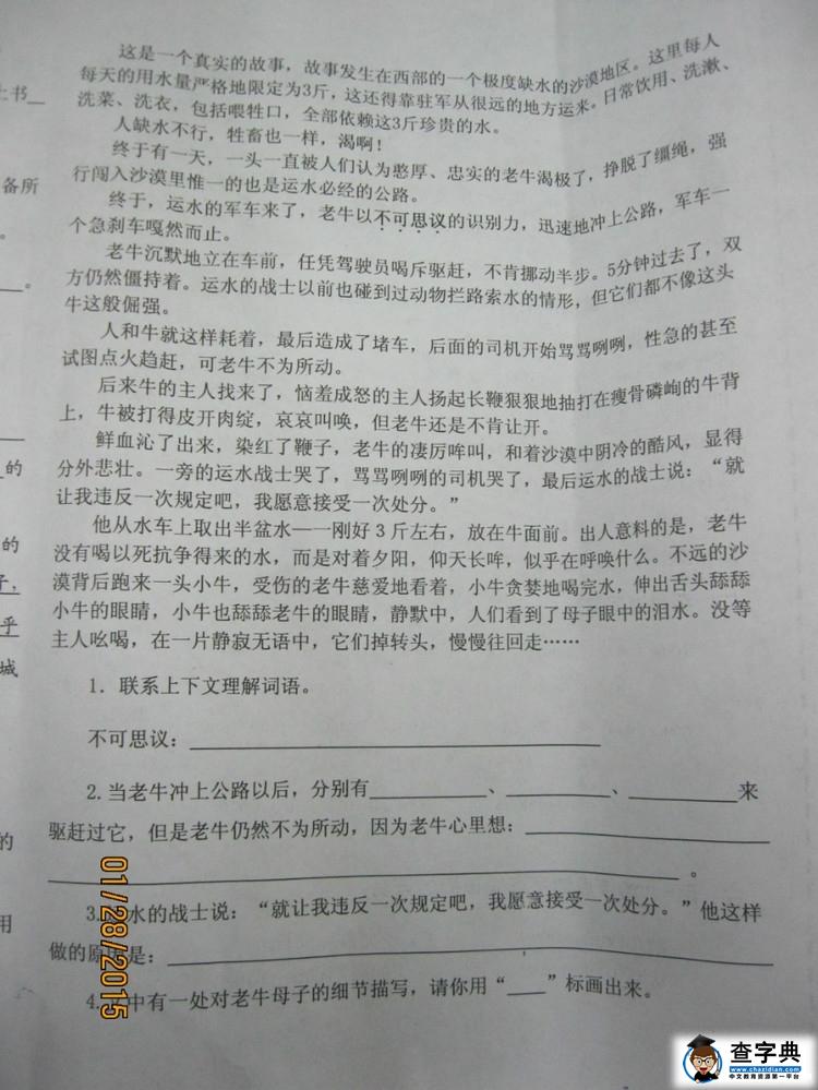 济南舜耕小学四年级语文上册期末考试试卷3