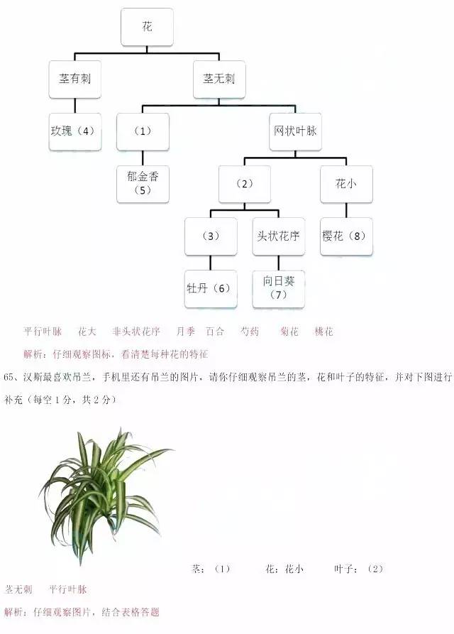 2017郑州民办小学阶段性评价试卷及答案解析（综合部分）4